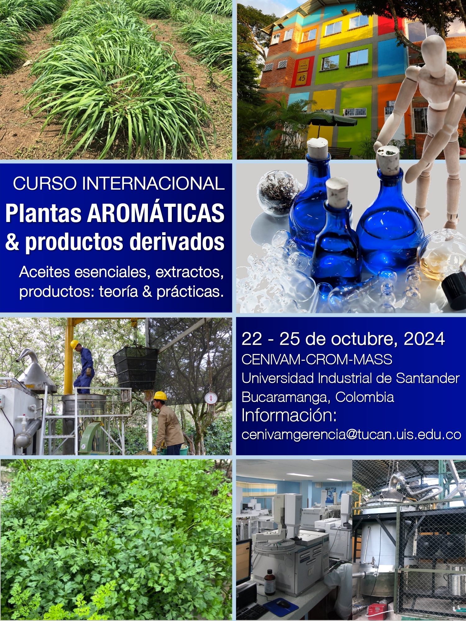 Plantas aromáticas y productos derivados.